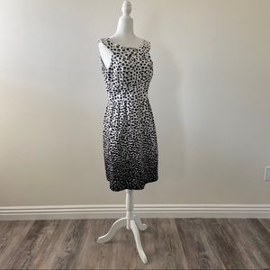 Black and White Calvin Klein cocktail dress